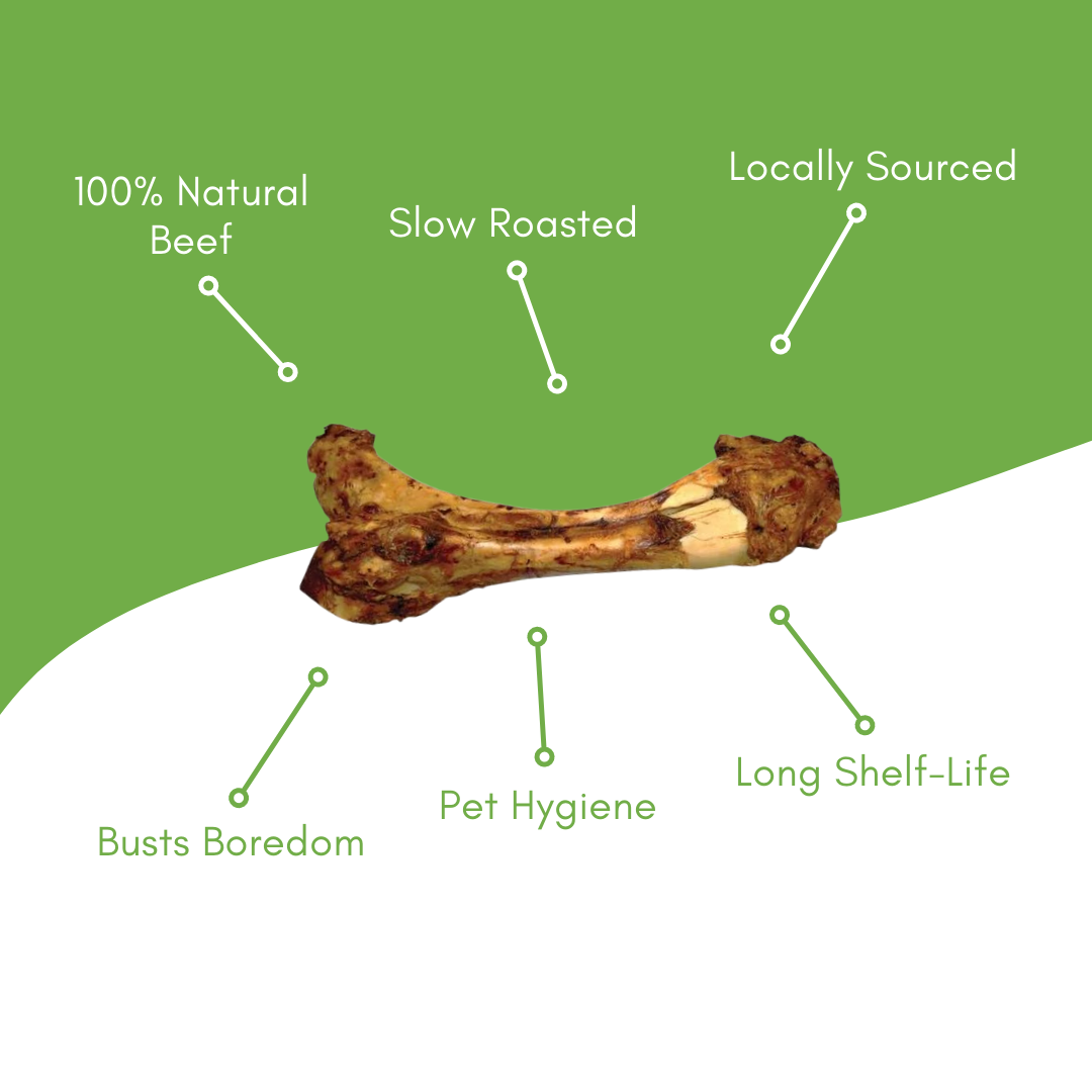 Tibia Beef Bone - view 3