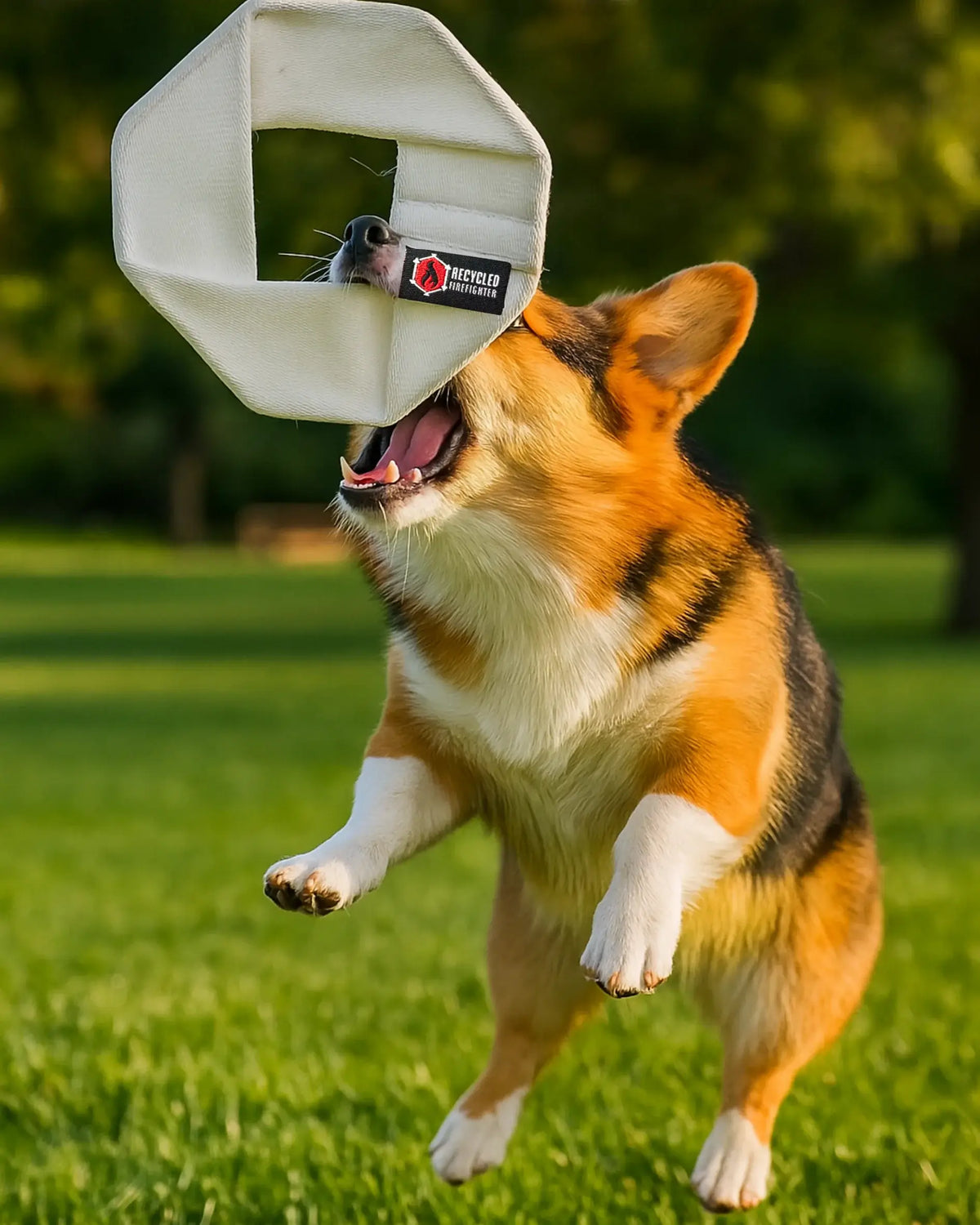 Fire Hose Dog Frisbee JR. - view 6