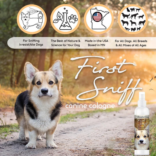 First Sniff Dog Cologne - Your First Sniff Stays on My Mind - Image 2
