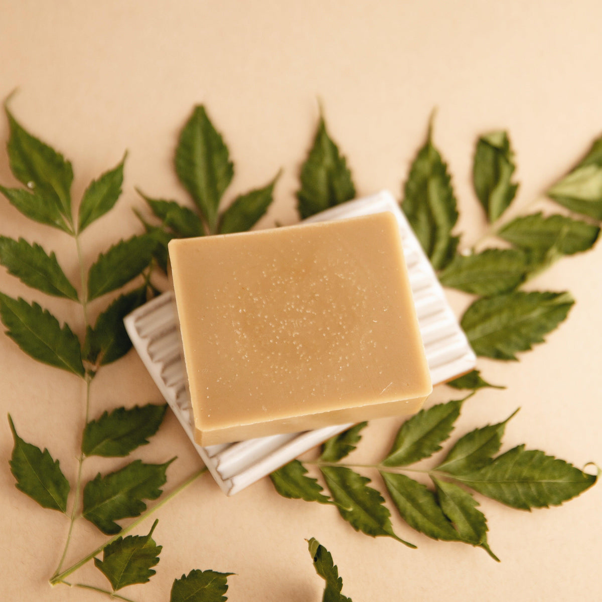 Forest Bathing - Natural Bar Soap - view 4