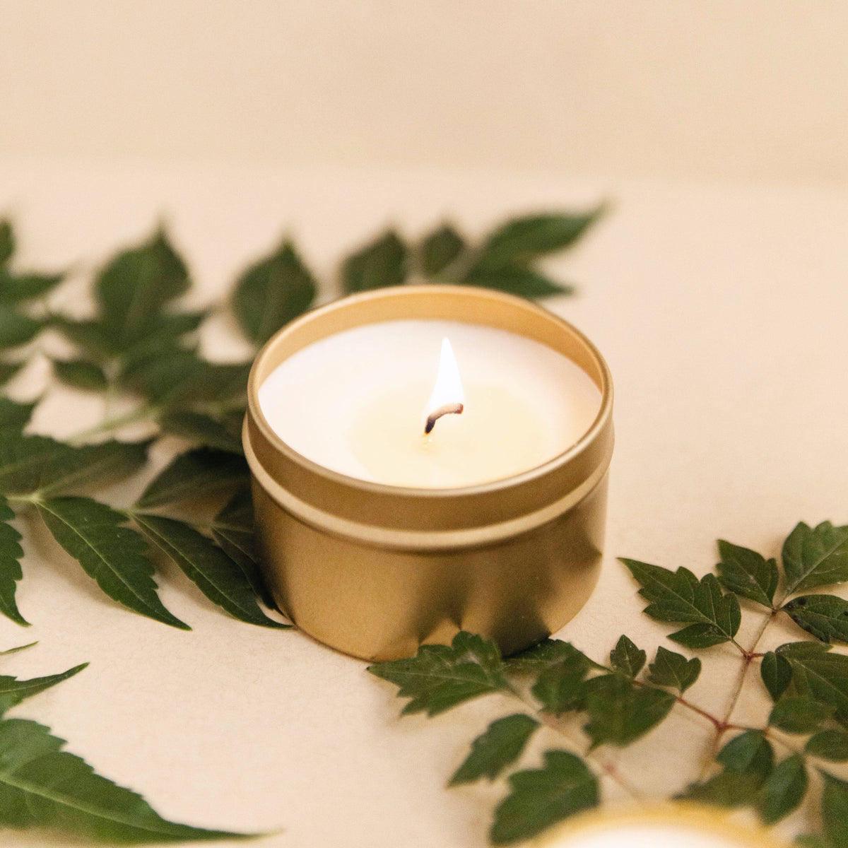 Forest Bathing - Fir + Pine + Patchouli - view 3