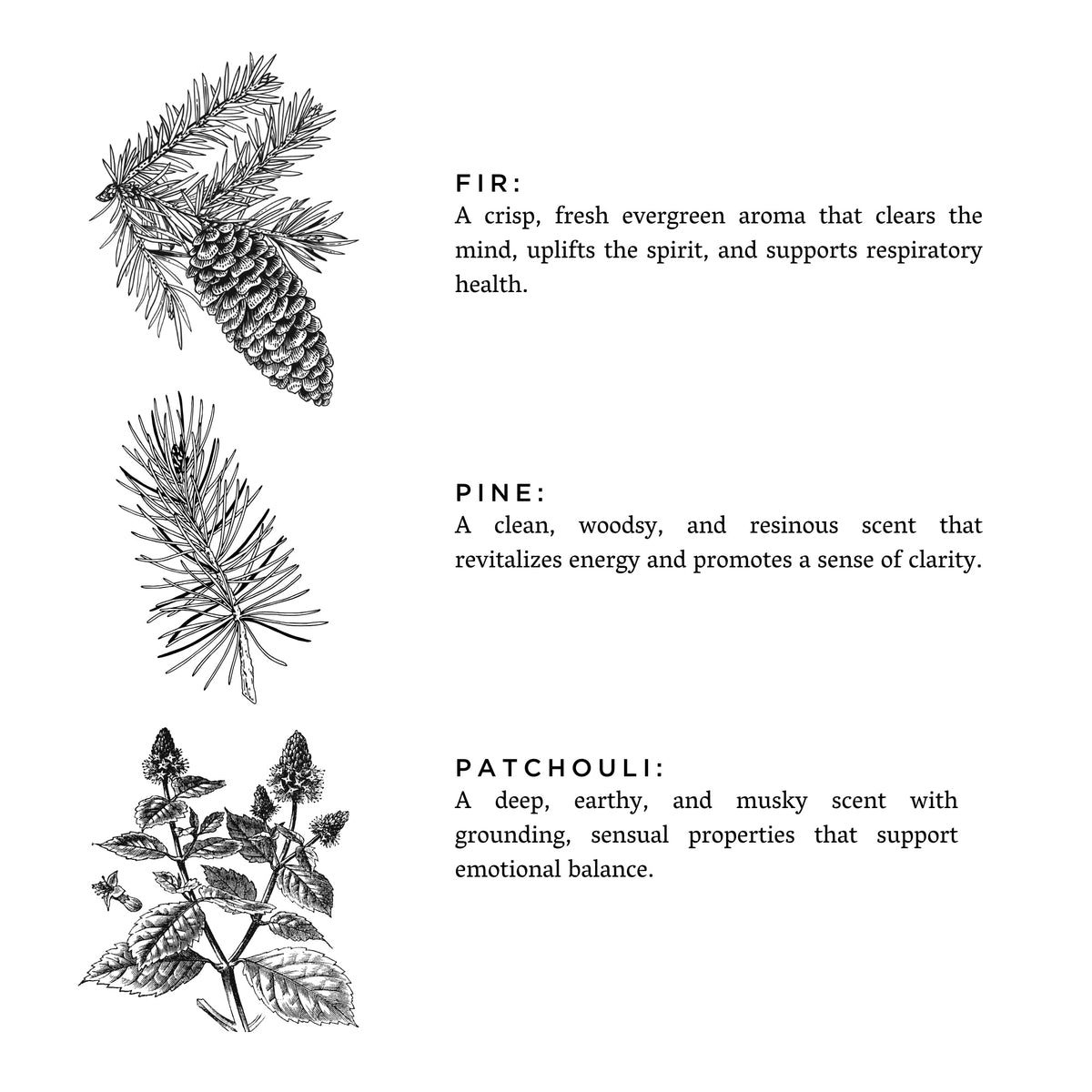 Forest Bathing - Fir + Pine + Patchouli - view 2