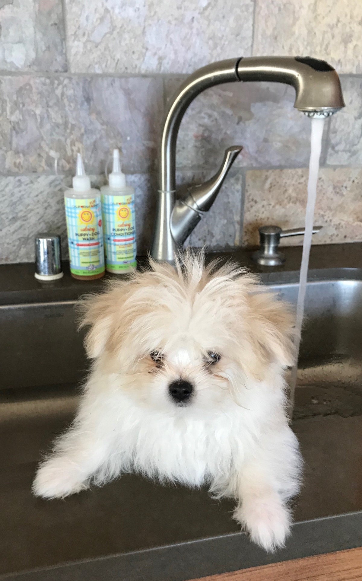 Calming™ Puppy + Dog Wash & Conditioner Set - Image 2
