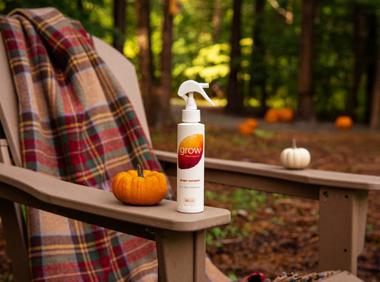 Ginger Pumpkin Air + Fabric Spray - view 2