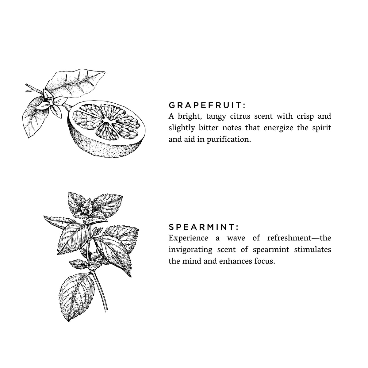 Grapefruit + Spearmint - Natural Bar Soap - view 3