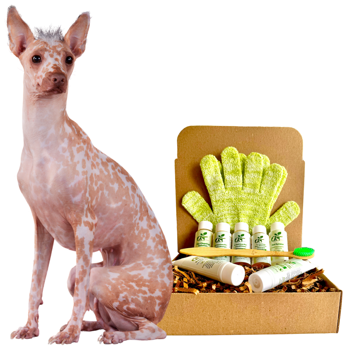 4-HAIRLESS PETS *DOG REGULAR KIT - SAMPLE SIZE ($9.92/oz.) - view 3