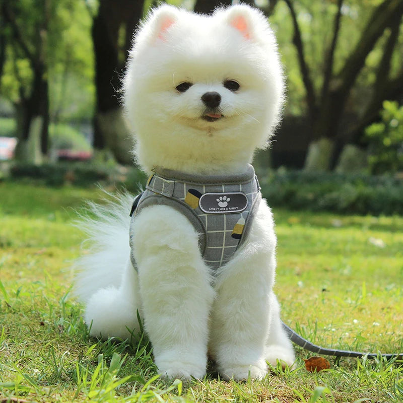 Reflective Dog Harness And Leash Set Nylon Mesh Kitten Puppy Dogs Vest Harness Leads Pet Clothes For Small Dogs - image 2