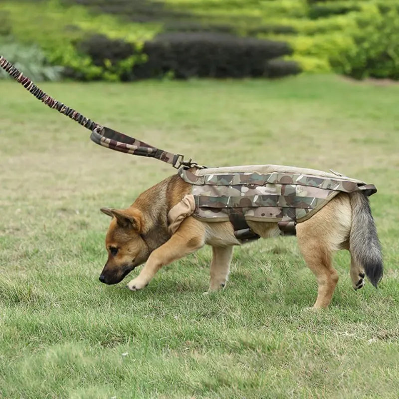 Tactical Dog Rope Training Dog Leash Traction Rope Dog Universal Leash Hunting Outdoor tactical dog leash - image 2