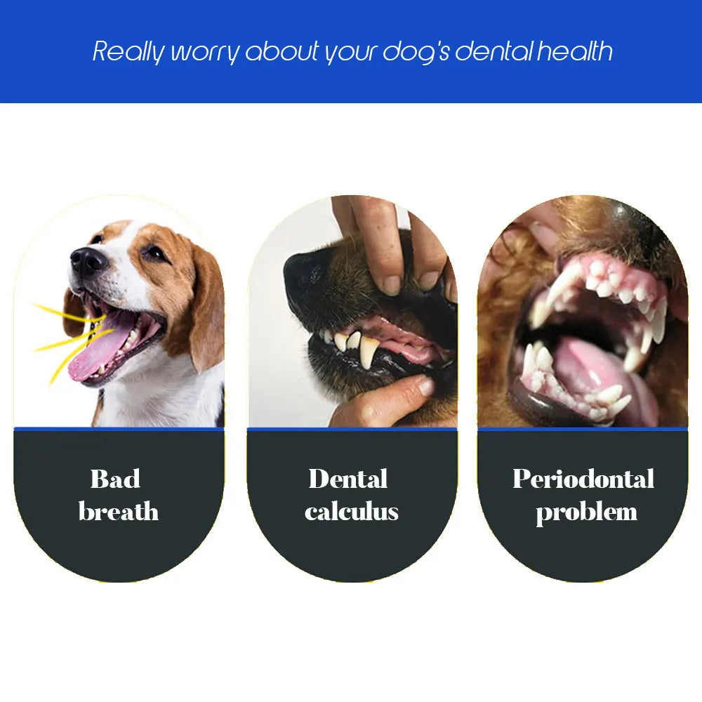 Three-Sided Dog & Cat Toothbrush — Removes Plaque, Tartar & Bad Breath - image 4