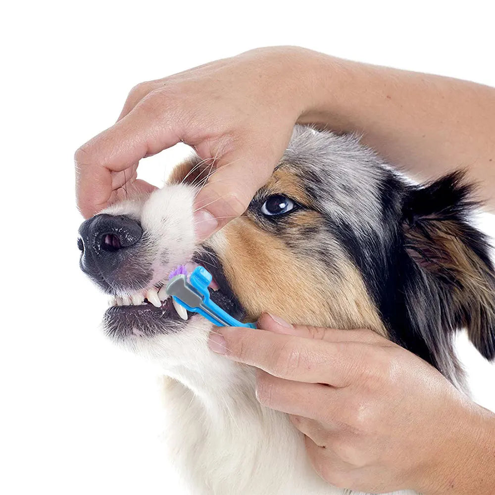 Three-Sided Dog & Cat Toothbrush — Removes Plaque, Tartar & Bad Breath - image 5