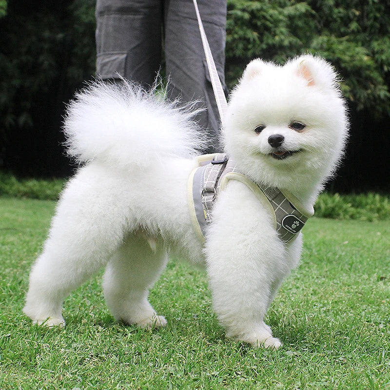 Reflective Dog Harness And Leash Set Nylon Mesh Kitten Puppy Dogs Vest Harness Leads Pet Clothes For Small Dogs - image 3