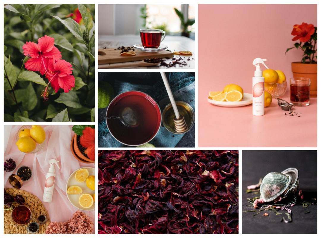 Hibiscus Tea Air + Fabric Spray - view 6