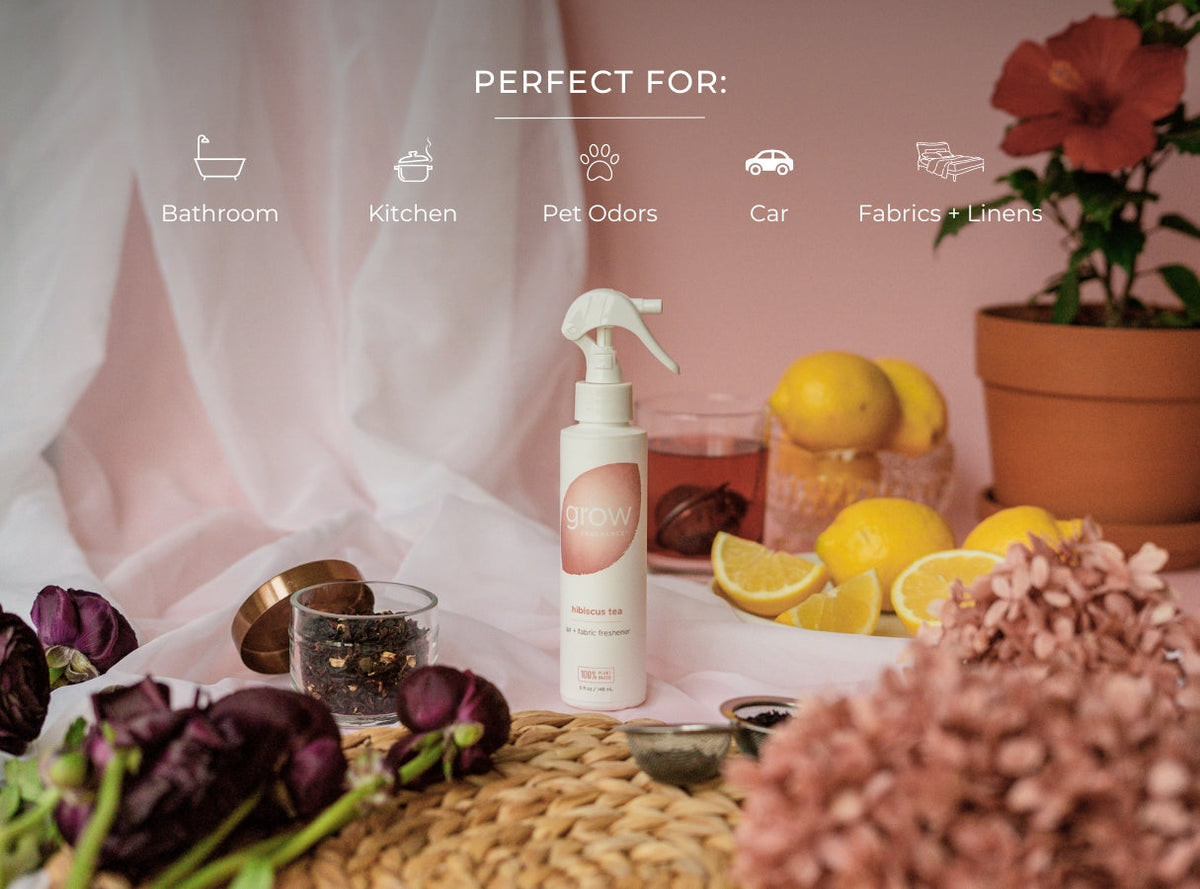 Hibiscus Tea Air + Fabric Spray - view 3