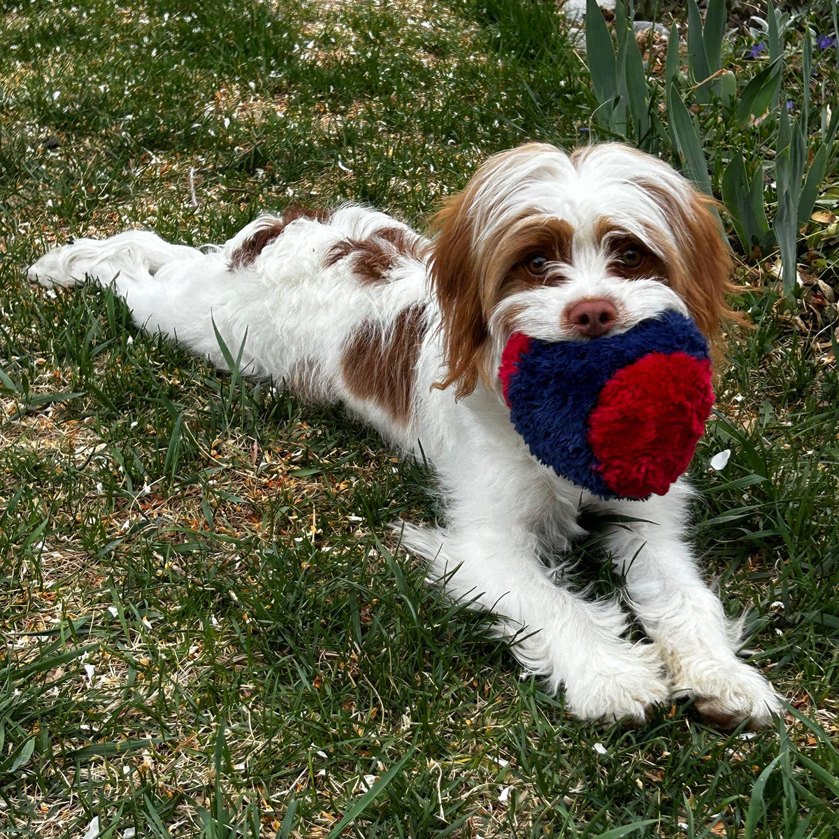 Nuggle Ball - view 2