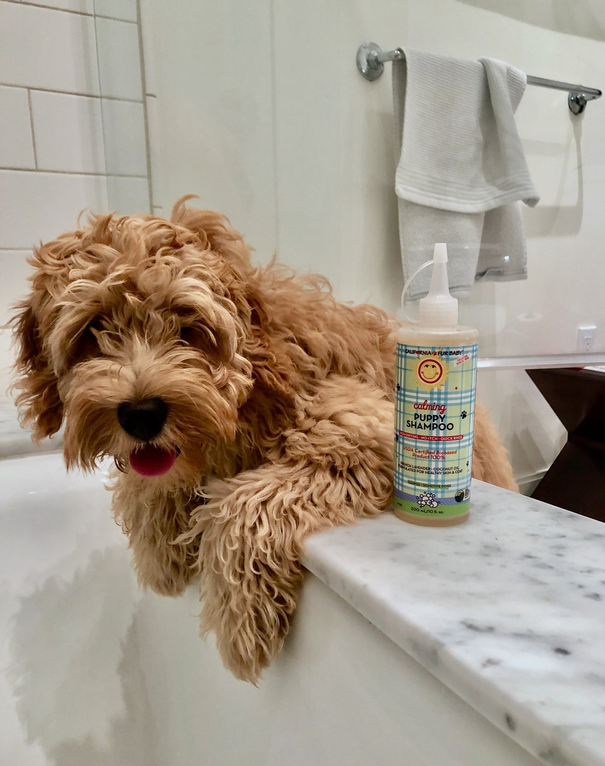 Calming™ Puppy + Dog Wash - Image 4