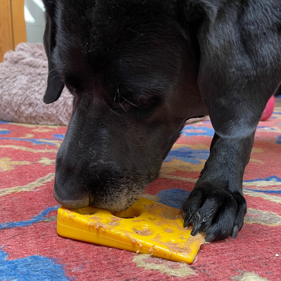 Swiss Cheese Wedge Nylon Dog Chew Toy for Aggressive Chewers - SodaPup - view 5