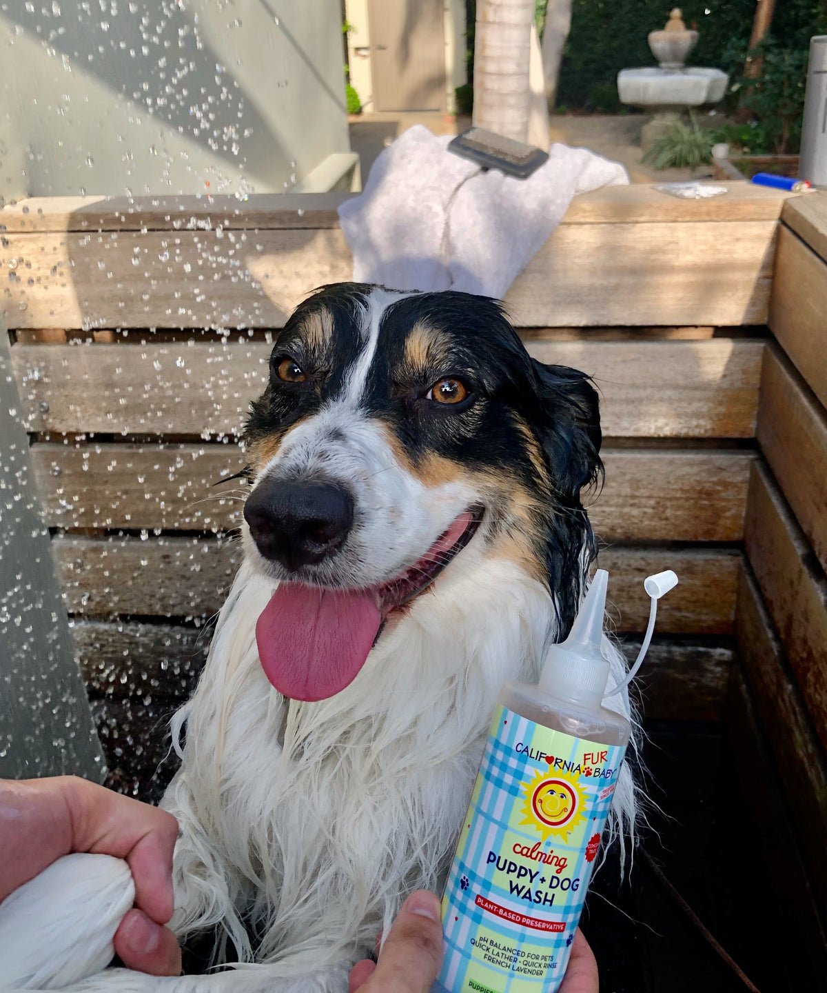 Calming™ Puppy + Dog Wash - Image 3