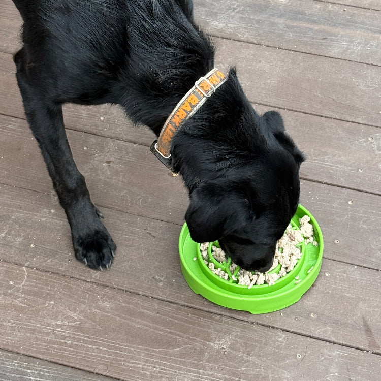 Garden Design eTray - Shallow Slow Feeder Dog Bowl for Enrichment - view 8