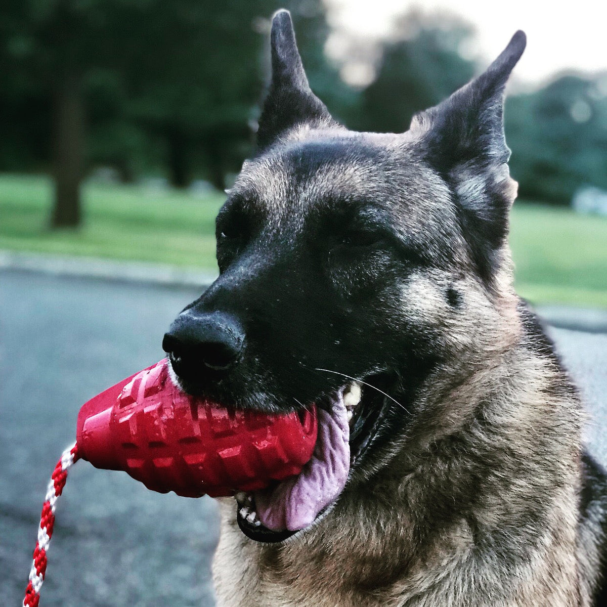 USA-K9 Grenade Rubber Dog Chew Toy - K9 Handler Reward Toy - USA Made - view 8