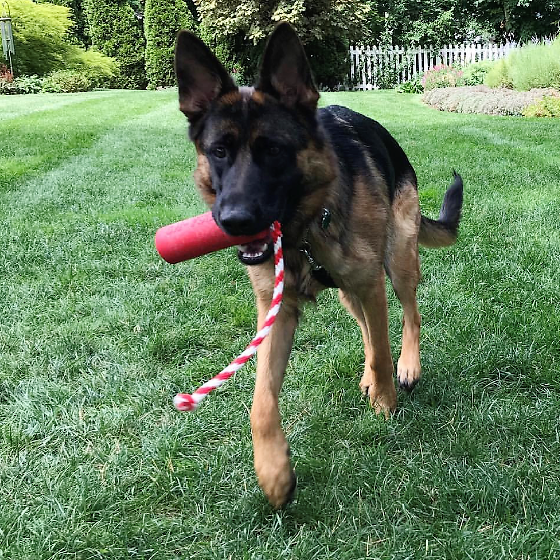 USA-K9 Firecracker Floating Training Dummy - K9 Handler Reward Toy - view 6