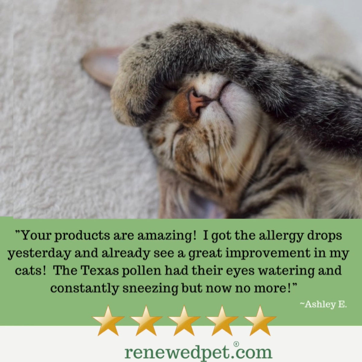 ALLERGY HEALTH/ Allergy-Free Remedy - view 3