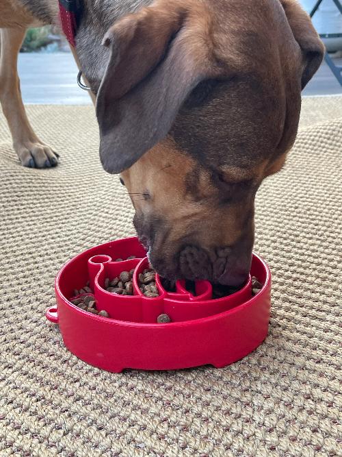 Santa Christmas eBowl Deep Slow Feeder Dog Bowl for Enrichment - view 7