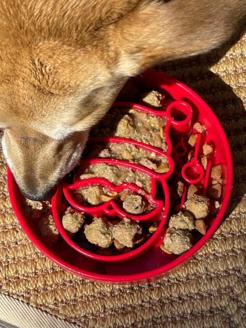 Santa Christmas eBowl Deep Slow Feeder Dog Bowl for Enrichment - view 6