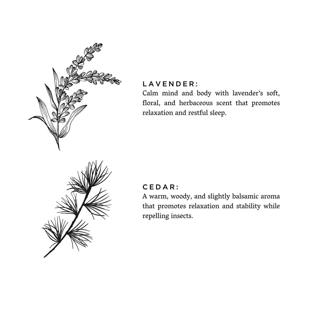 Lavender + Cedar - Signature 3-Wick Candle - view 3