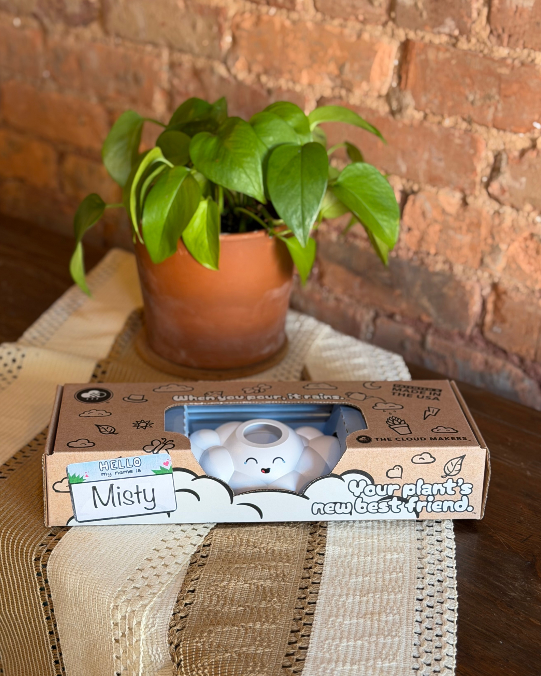 Misty the Cloud - view 4
