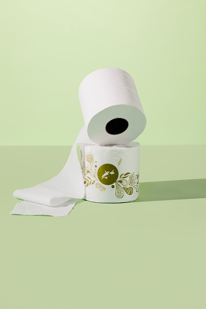 Caretta - 100% Recycled 2-Ply Toilet Paper - view 3