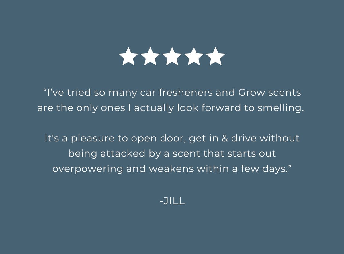 Pacific Driftwood Car Freshener - view 4