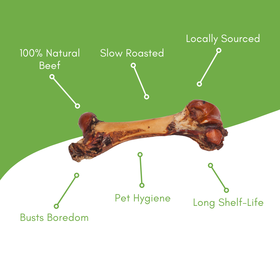 2 Count Porky Femur Dog Bones - view 3