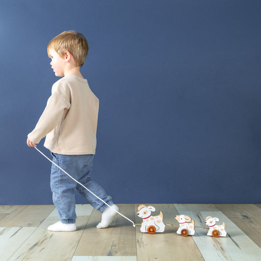 Pull Toy - The 3 Dogs - Maple Wood - Made in the USA 🇺🇸