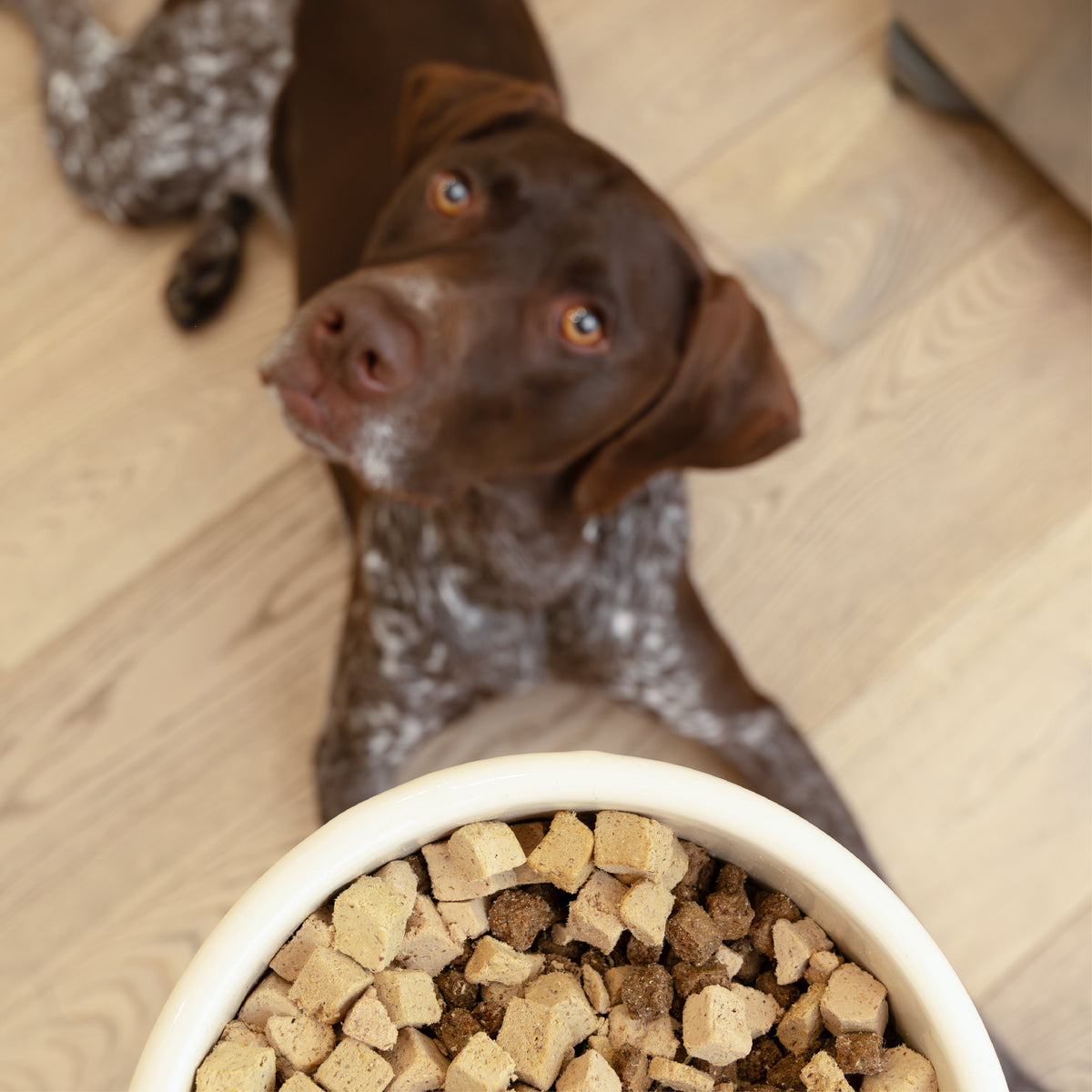 Chicken Dog Food Topper - Image 5