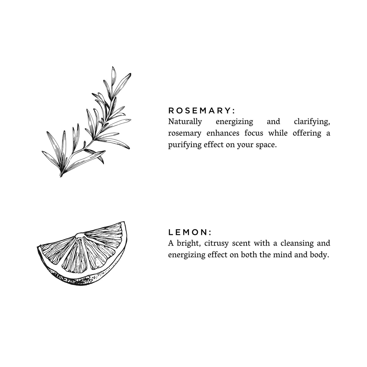 Rosemary + Lemon - view 2