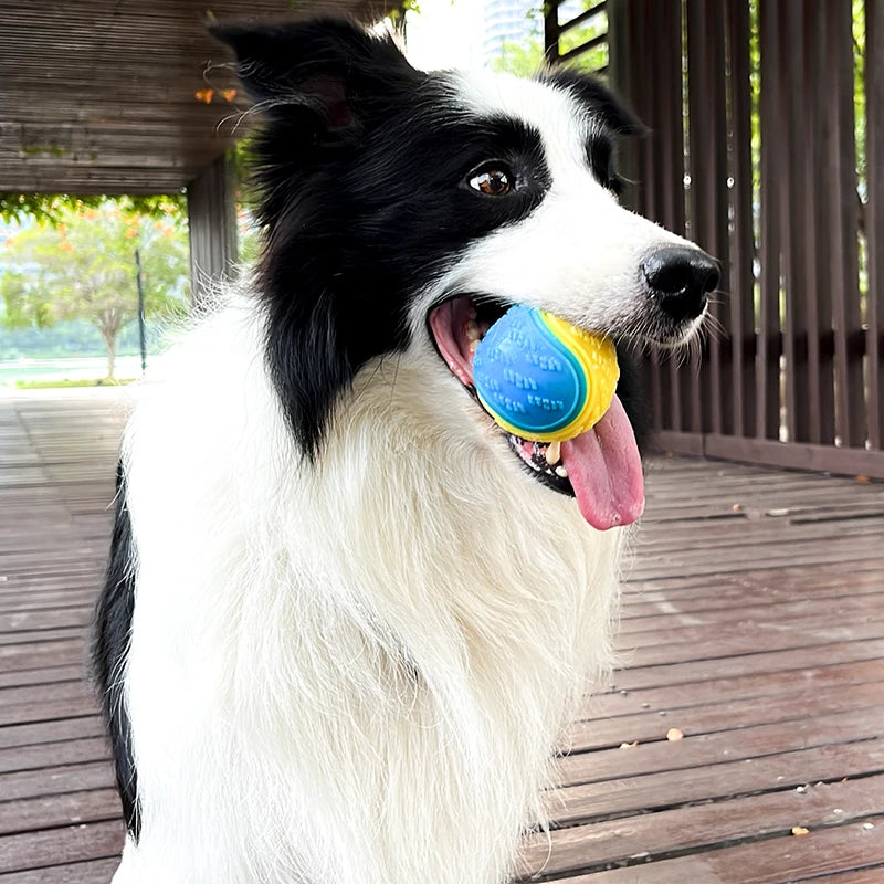 Dogs Interactive Toys Soft TPR Toys for Dog Pet Teeth Cleaning Bite Resistance Squeaky Dog Ball Toy - image 3