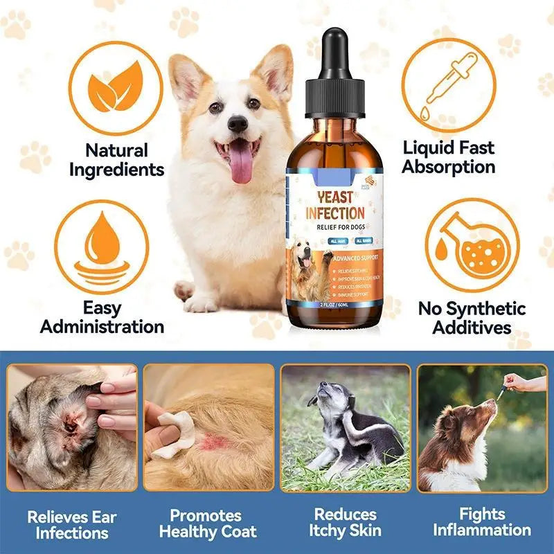 Pet Gut Health Yeast Drops for Dogs and Cats - image 3