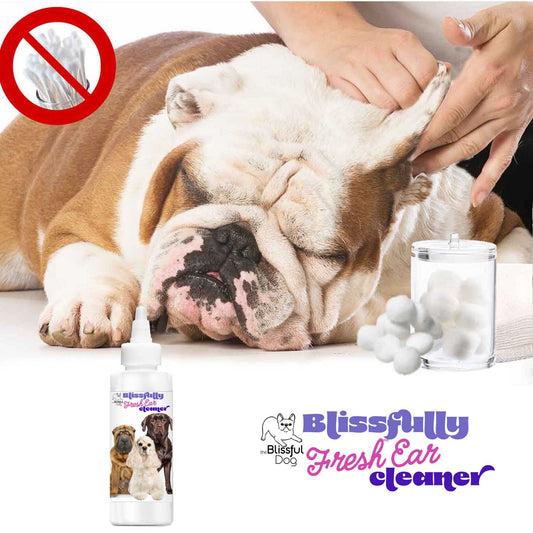 Blissfully Fresh™ Dog Ear Cleaner - Image 2