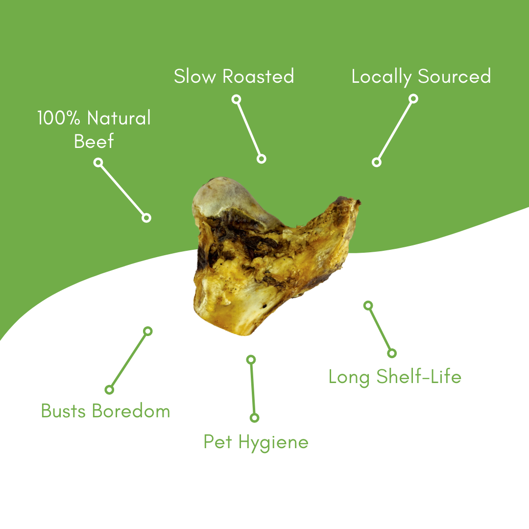 Saddle Knuckle Beef Bone - view 3