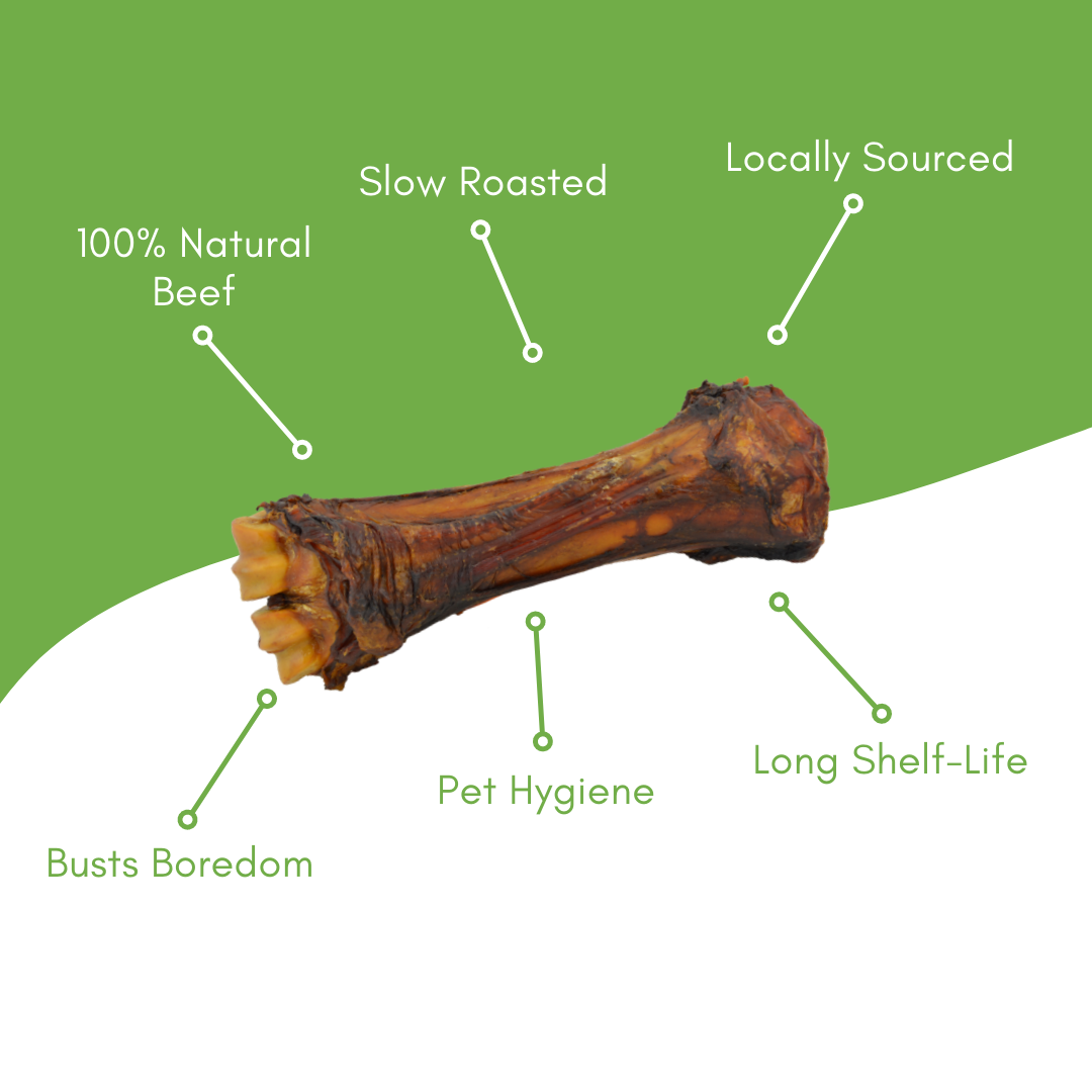 Shank Beef Bone - view 3