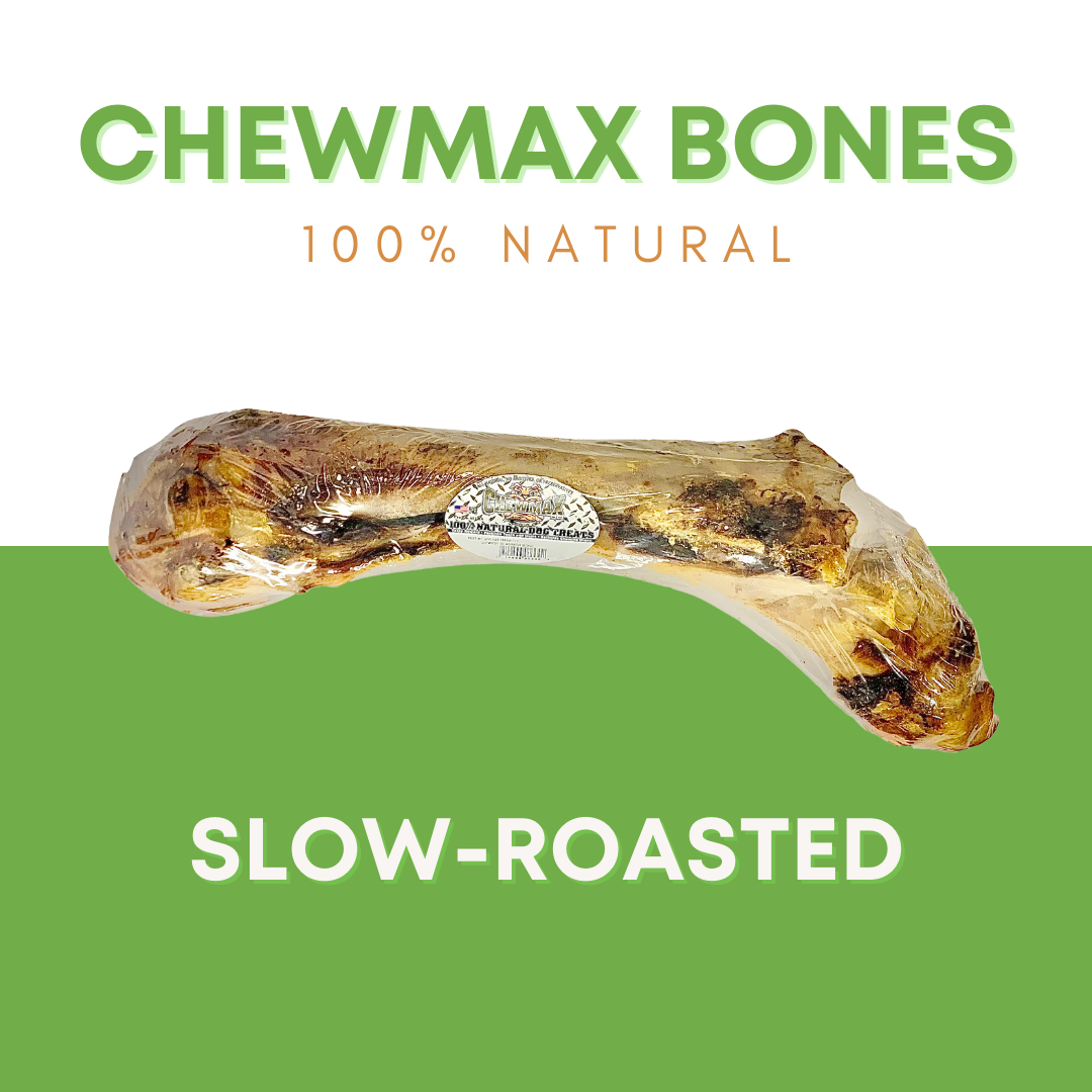 Slammer Beef Bone - view 2