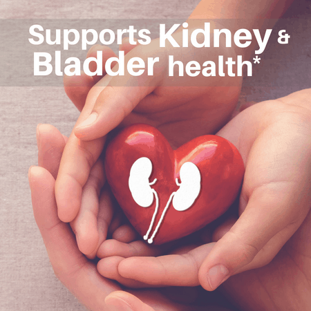 Kidney Cleanse Drops (2 fl oz) - Kidney & Bladder Support - view 3