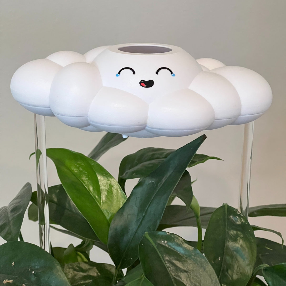 Misty the Cloud - view 5