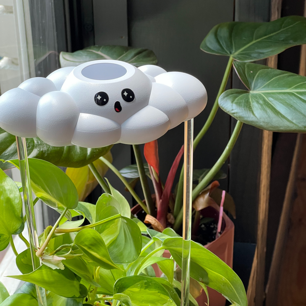 Cosmo the Cloud - view 4