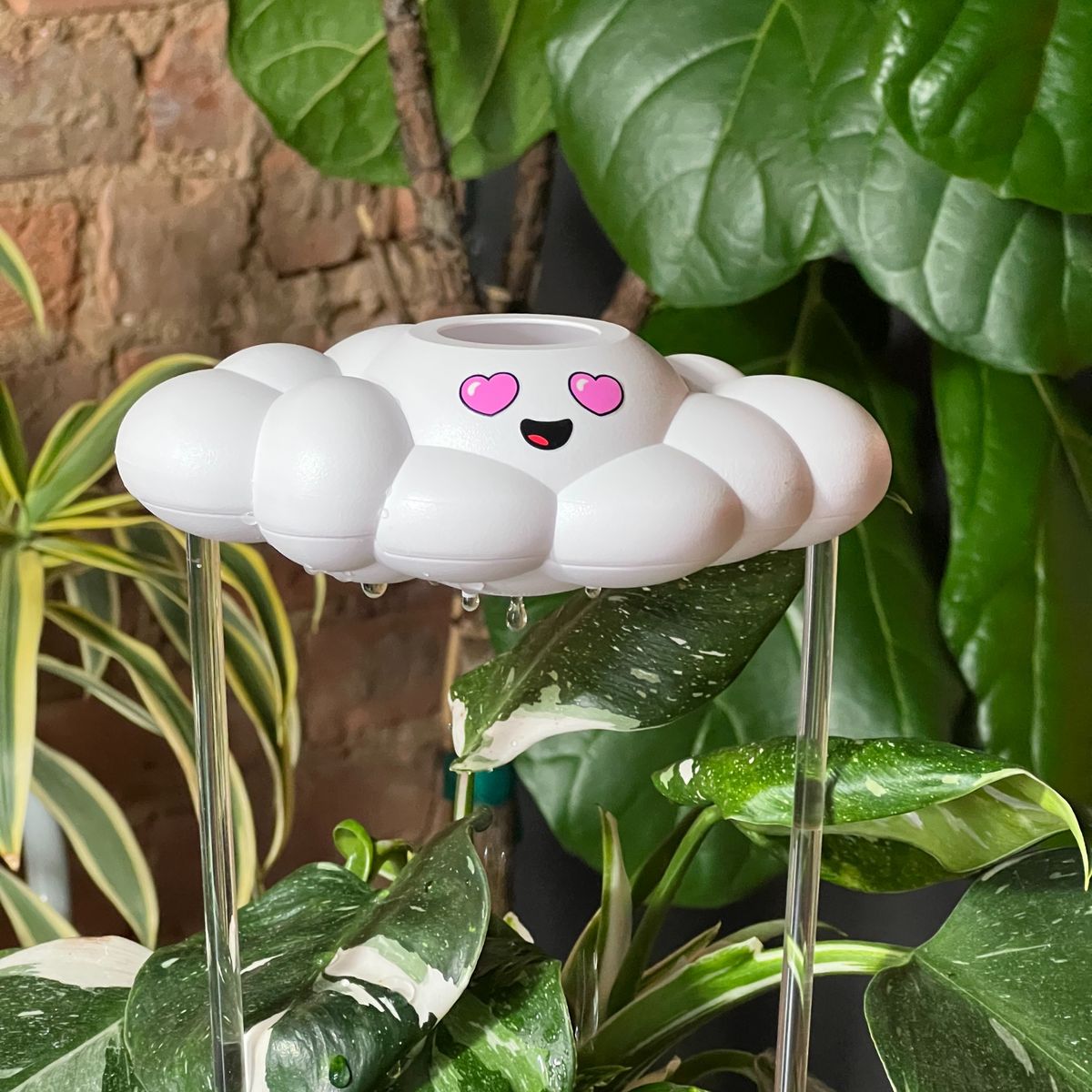 Chloe the Cloud - view 2