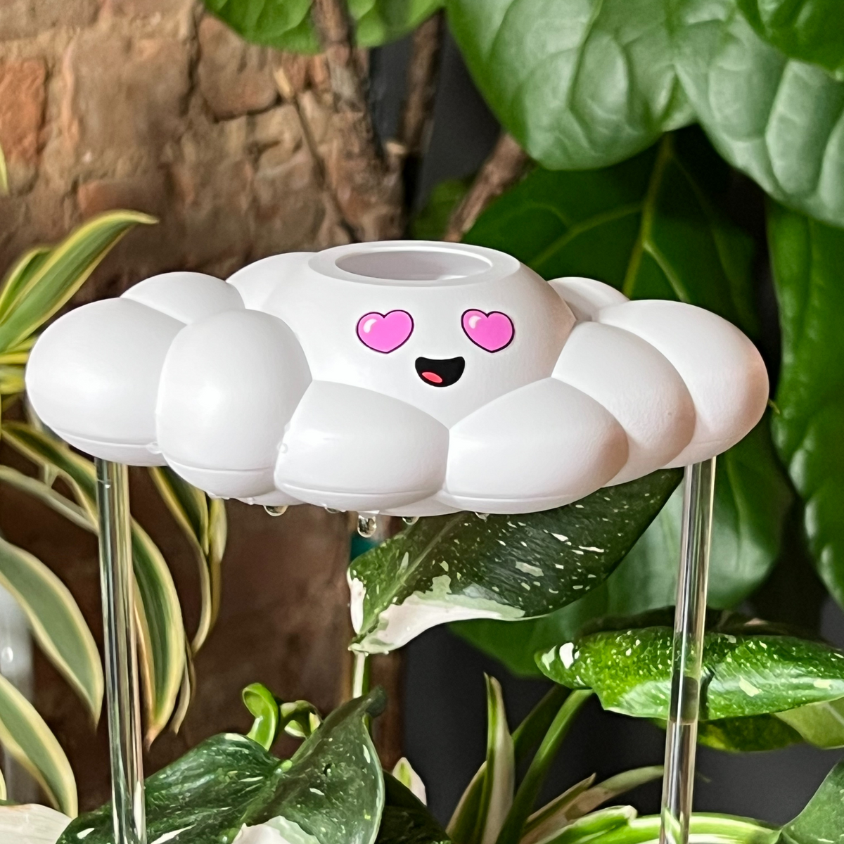 Chloe the Cloud - view 5