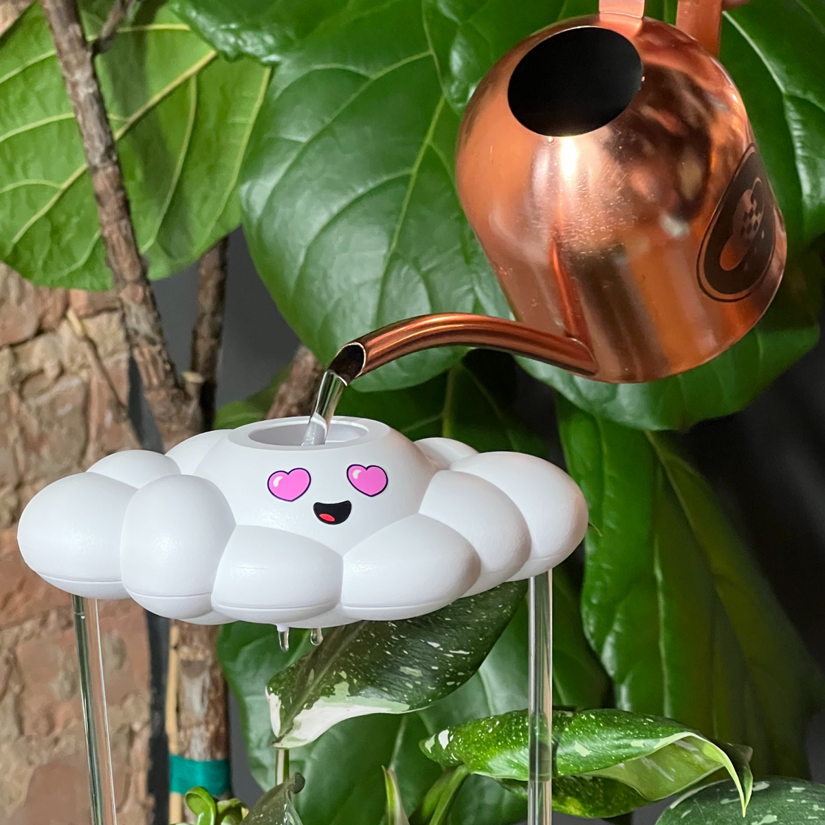 Chloe the Cloud - view 3