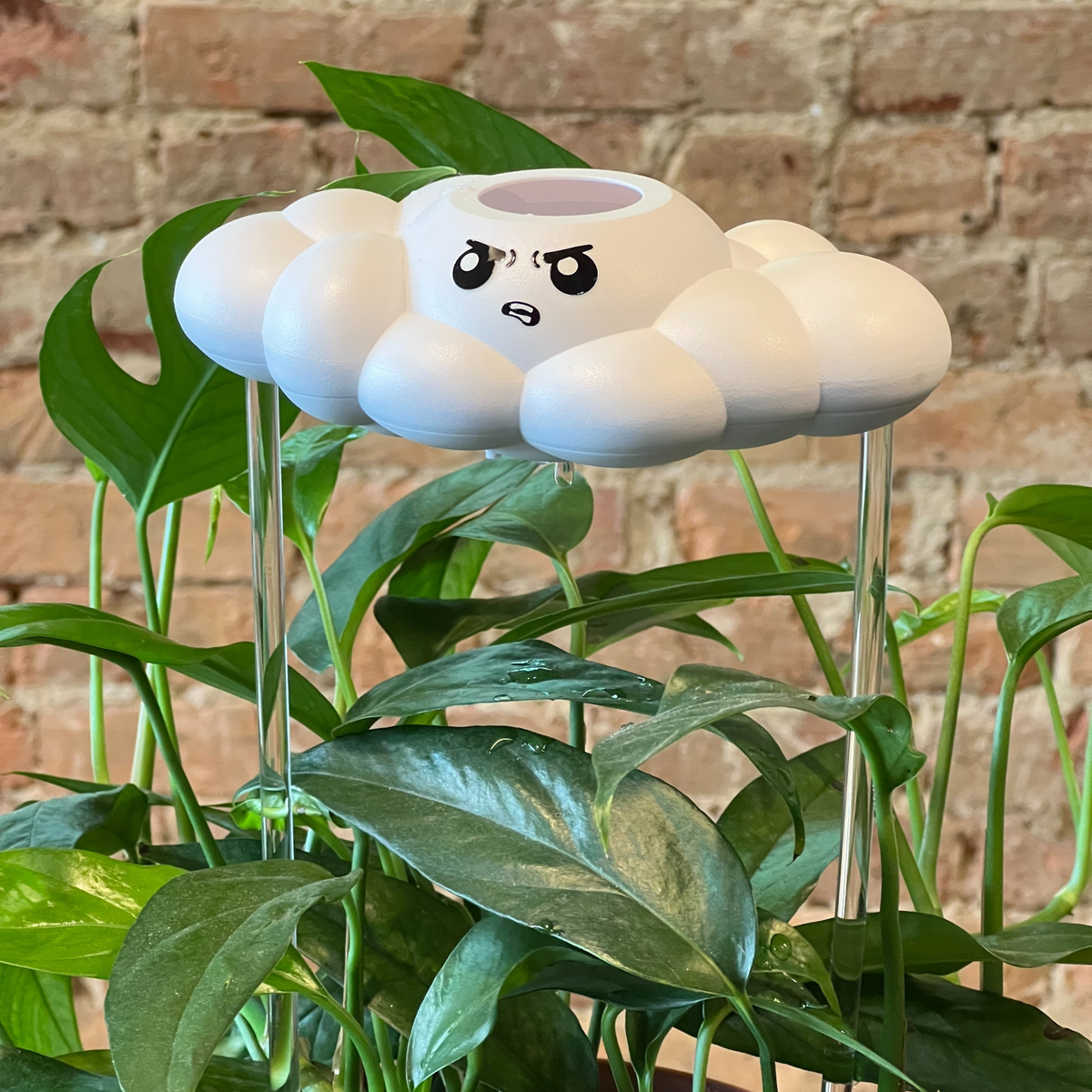Cliff the Cloud - view 7
