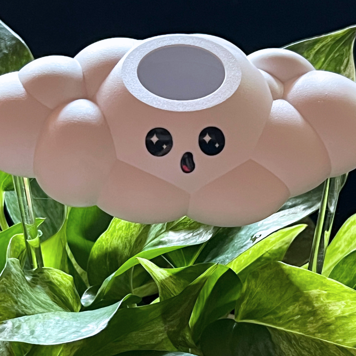 Cosmo the Cloud - view 7