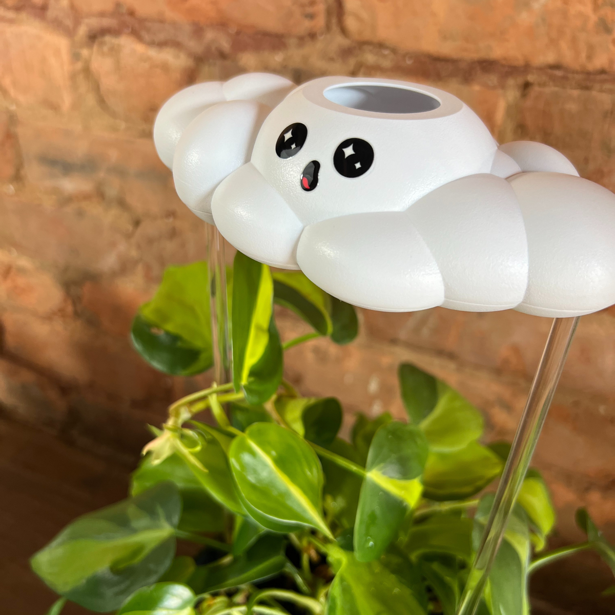 Cosmo the Cloud - view 2
